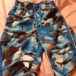 Hang Ten Bathing Shorts